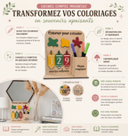 Compteur de coloriage "PIGMORA"